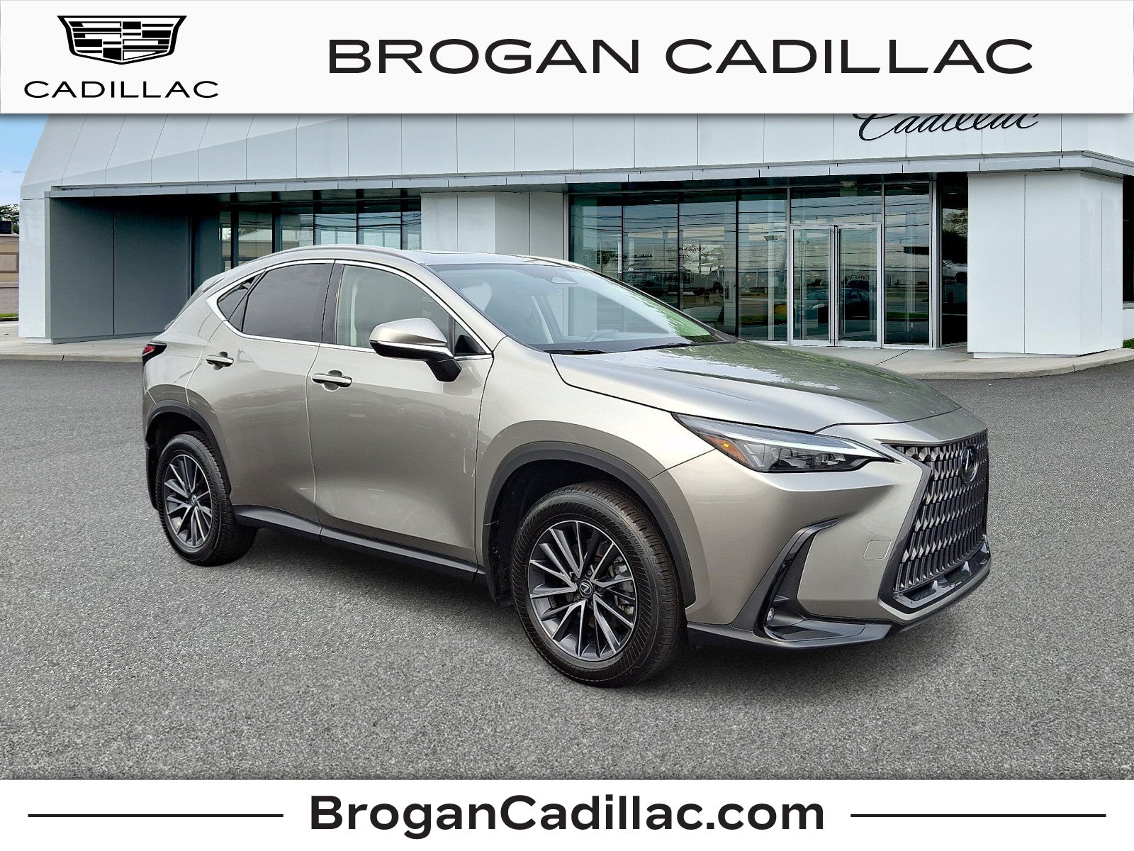 2024 Lexus NX 350 NX 350