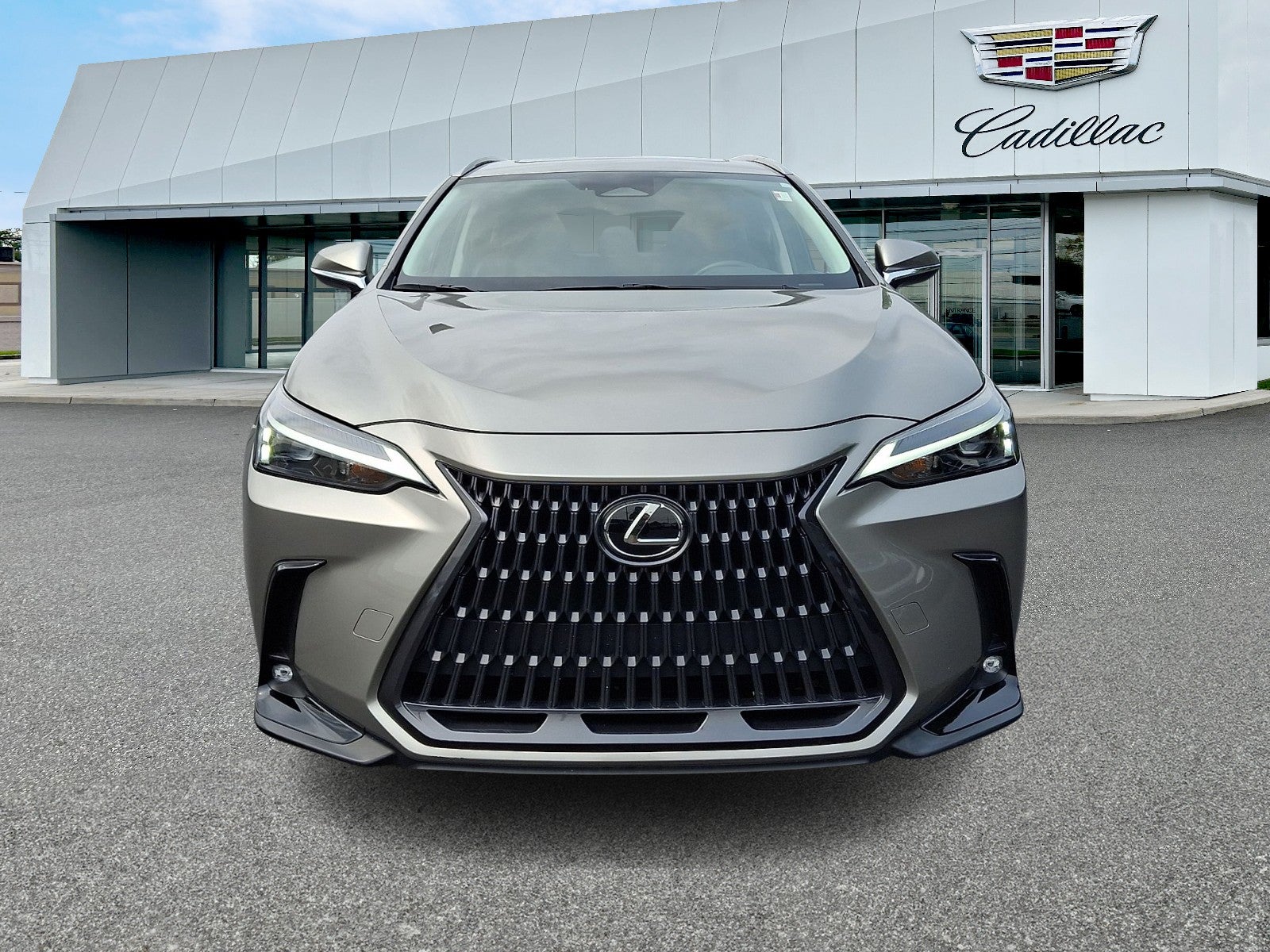 2024 Lexus NX 350 NX 350