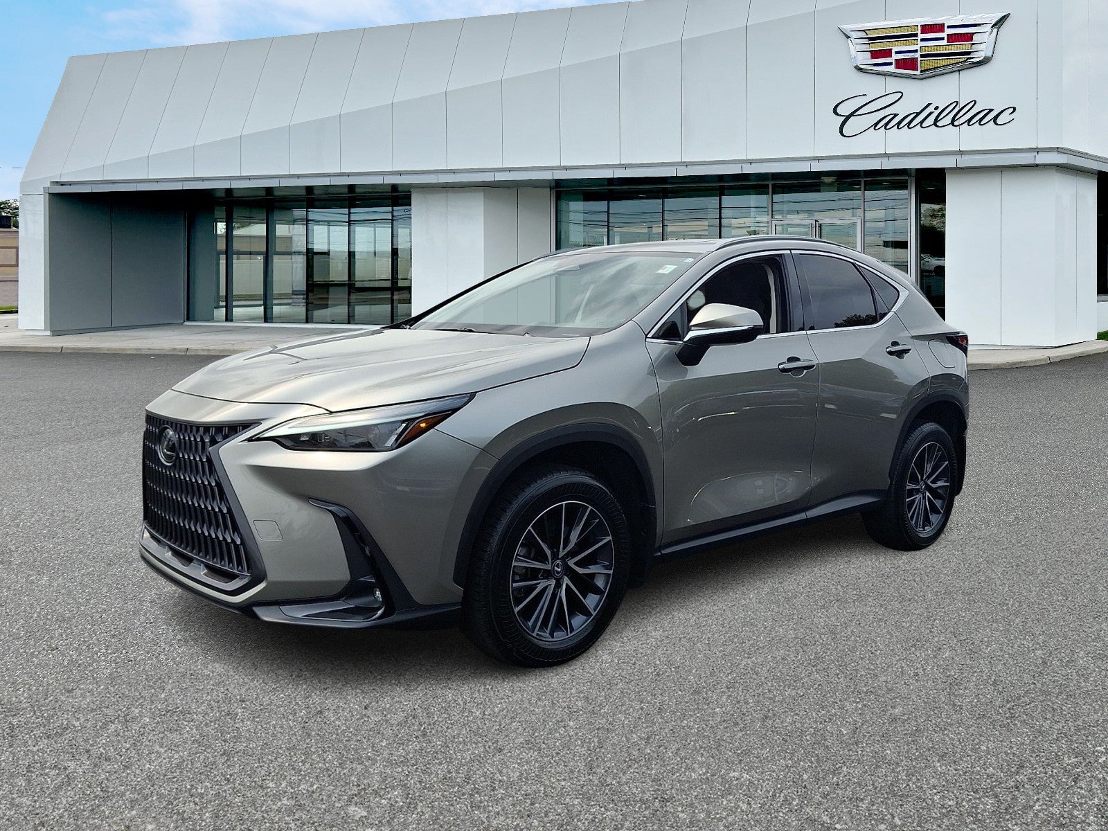 2024 Lexus NX 350 NX 350