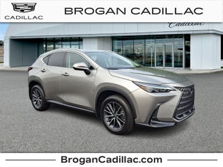 2024 Lexus NX 350 NX 350